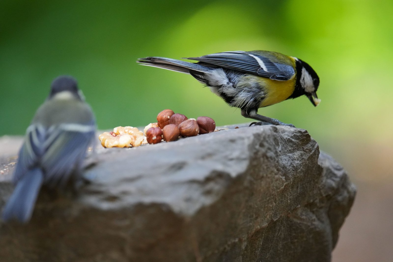 Food Holders