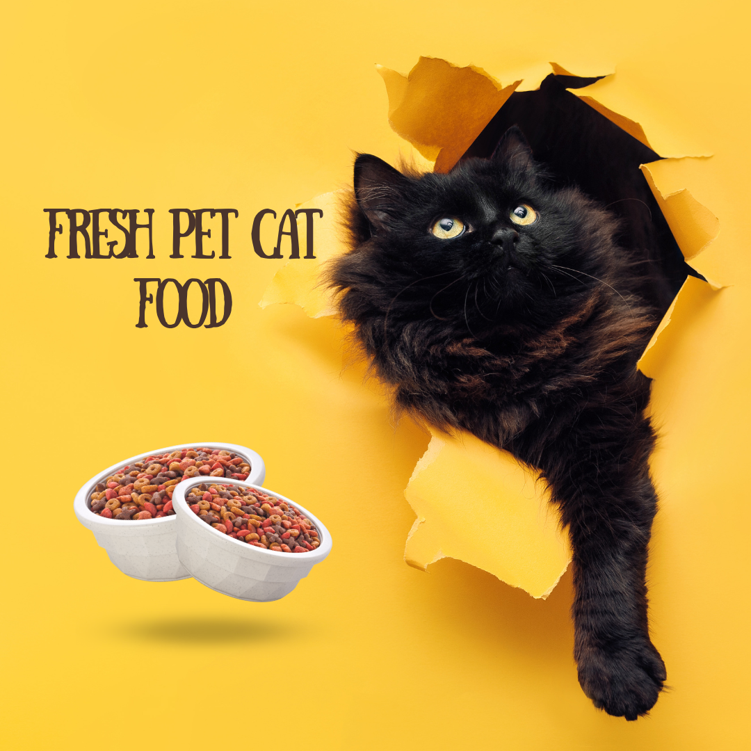 fresh pet cat food